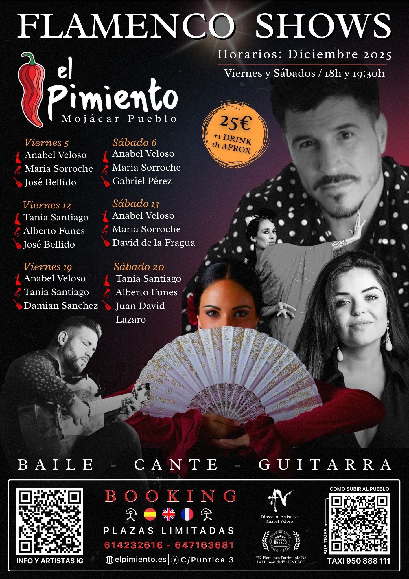 Espectáculos de flamenco 